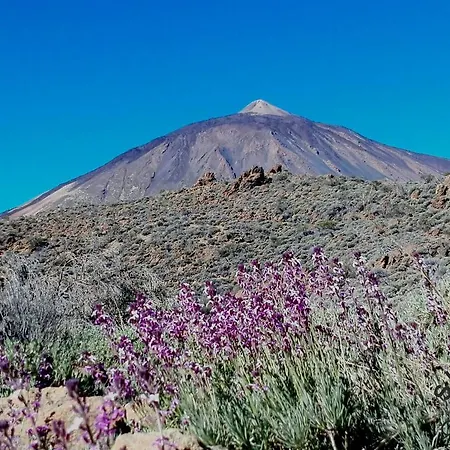 شقة Suncanarias